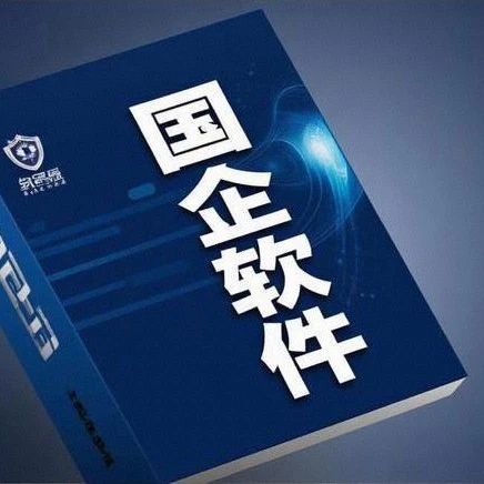 《2025国企与中小企业协同软件全景对比：安全、效率与信创适配指南》